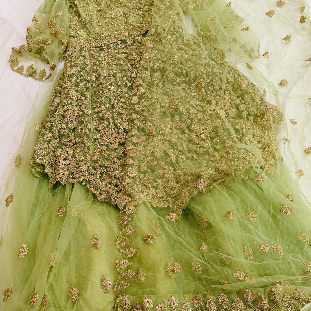 Elegant Green and Gold Embroidered Dress